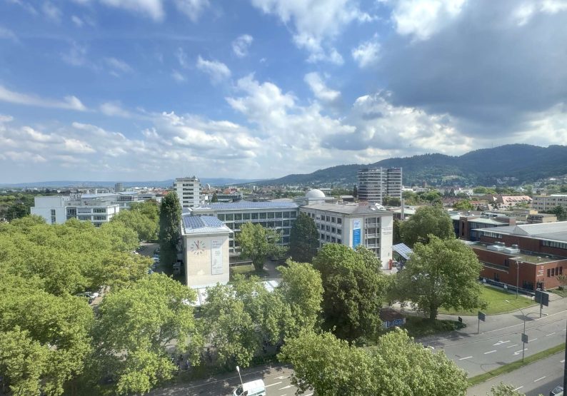 Ausblick