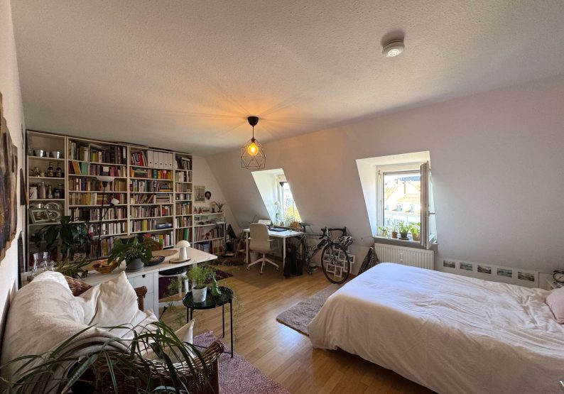 Wohn-und Schlafzimmer